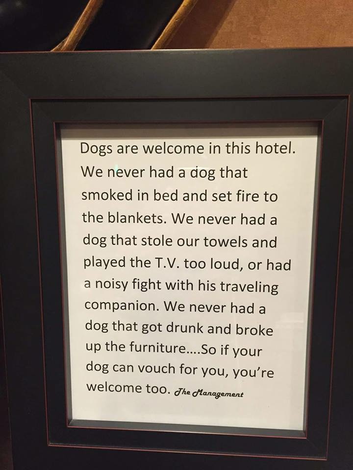 dogs in hotel