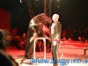 Circul Orlando