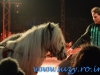 Circul Orlando