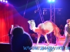 Circul Orlando