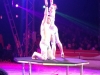 Circul Orlando