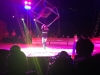 Circul Orlando