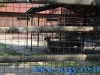 Gradina Zoologica Bucuresti - iunie 2013