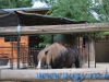 Gradina Zoologica Bucuresti - iunie 2013