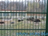 Gradina Zoologica Sibiu (15)