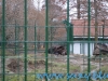 Gradina Zoologica Sibiu (16)