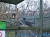 Gradina Zoologica Sibiu (17)