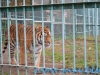 Gradina Zoologica Sibiu (19)