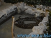 Gradina Zoologica Sibiu (27)