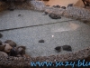 Gradina Zoologica Sibiu (29)