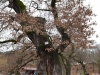 Gradina Zoologica Sibiu (3)