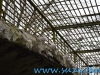Gradina Zoologica Sibiu (33)