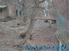 Gradina Zoologica Sibiu (39)