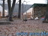 Gradina Zoologica Sibiu (8)