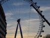 London Eye (29)