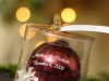marturii-de-nunta-17