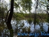 Parcul National Comana, jud. Giurgiu
