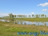 Parcul National Comana, jud. Giurgiu