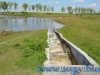 Parcul National Comana, jud. Giurgiu
