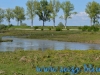 Parcul National Comana, jud. Giurgiu