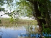 Parcul National Comana, jud. Giurgiu