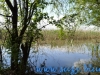 Parcul National Comana, jud. Giurgiu