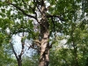 Parcul National Comana, jud. Giurgiu