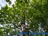 Parcul National Comana, jud. Giurgiu