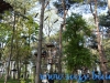 Parcul National Comana, jud. Giurgiu