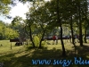 Parcul National Comana, jud. Giurgiu