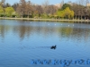 Parcul I.O.R. / Alexandru Ioan Cuza - Bucuresti