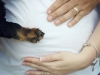 baby-bump-36