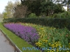 Regents Park (14)