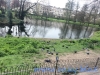 Regents Park (25)
