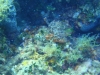dsc07704