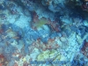 dsc07706