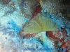 dsc07707
