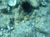 dsc07784