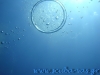 dsc07791