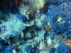 dsc07806