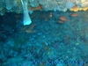 dsc07808