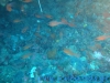 dsc09002