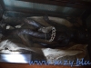 The-Sherlock_Holmes-Museum-Londra (26)