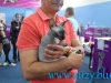 SofistiCat Aprilie 2015