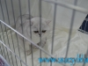 SofistiCat Aprilie 2015