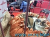 Sofisticat_martie_2016_10
