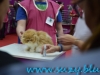 Sofisticat_martie_2016_11