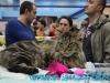 Sofisticat_martie_2016_2