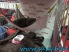 Sofisticat_martie_2016_9