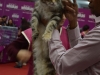 sofisticat_martie_2016_14